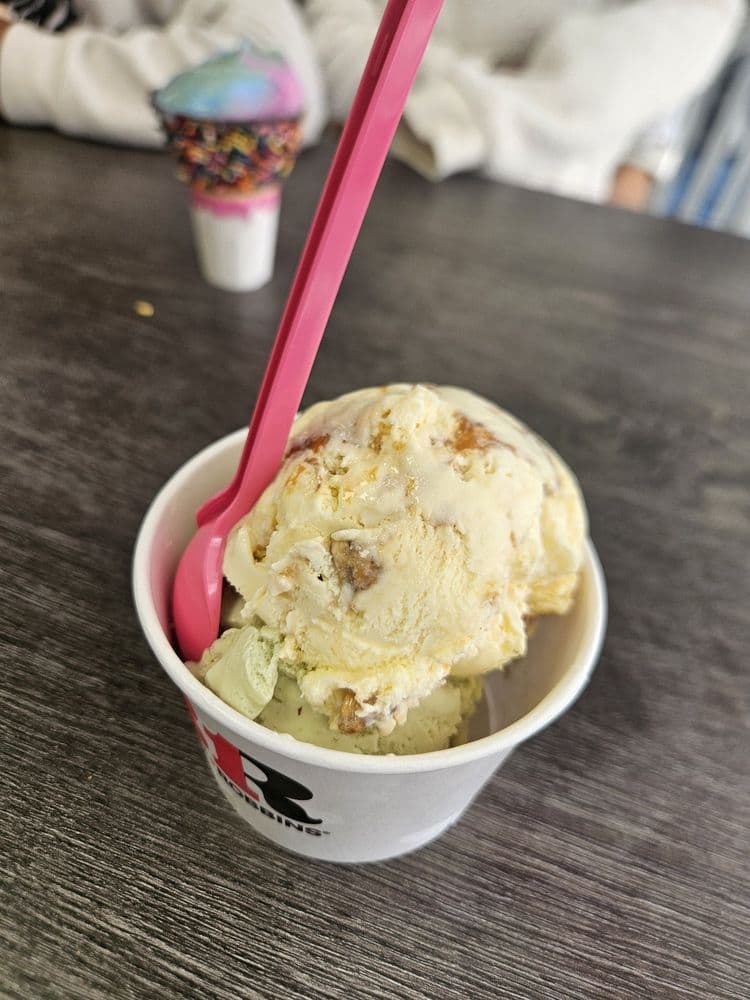 31 Flavors Ice Cream